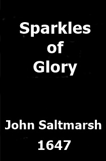 Saltmarsh Sparkles of Glory